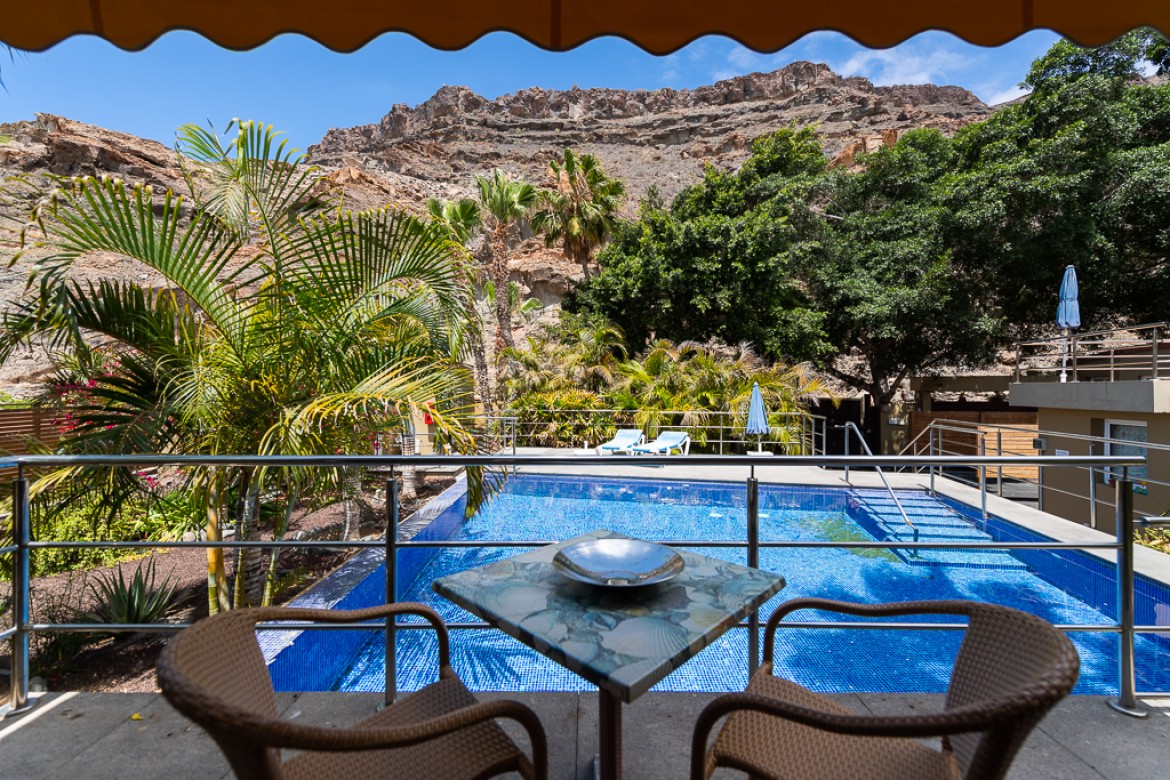 Apartamento Estándar con vistas a la piscina (N6)